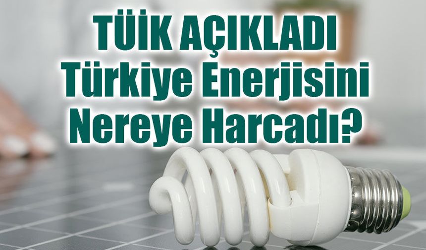 TÜİK Açıkladı: Türkiye 2024’te Enerjisini Nereye Harcadı?
