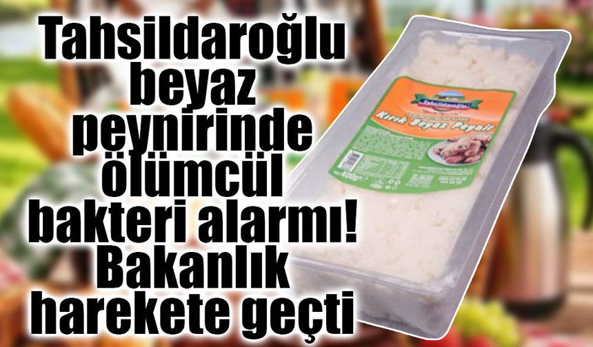 Tahsildaroğlu beyaz peynirinde ölümcül bakteri alarmı! Bakanlık harekete geçti