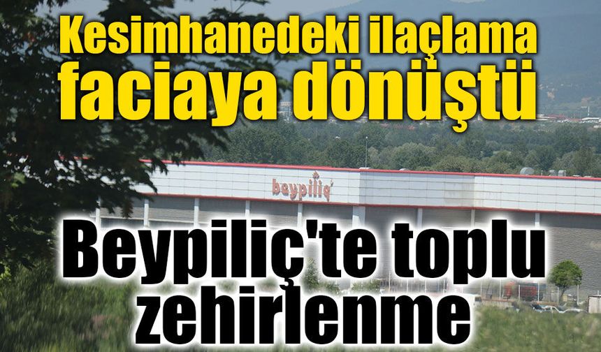 Bolu'da Beypiliç'te toplu zehirlenme! 34 işçi hastanelik oldu