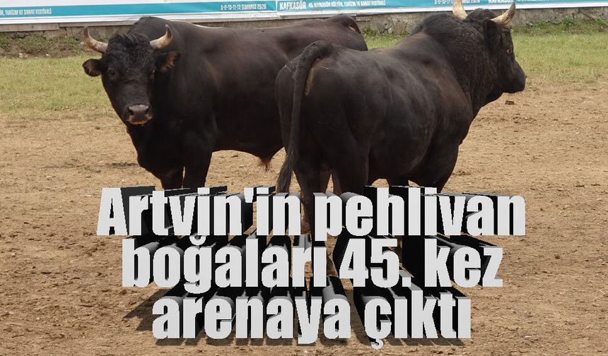 Kafkasör'de 45. buluşma: Artvin'in asırlık geleneği yine binlerce kişiyi buluşturdu