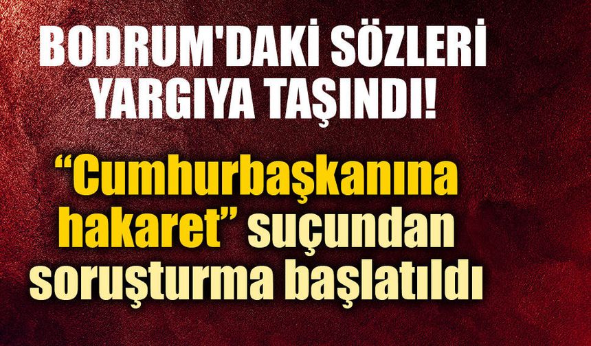 İngiliz ekonomist Timothy Ash hakkında soruşturma başlatıldı