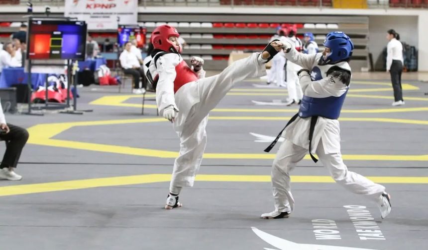 Taekwondo Doğu Grubu Müsabakaları Sivas'ta yapıldı