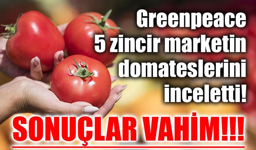 Beş zincir marketten alınan domateslerde 15 yıl önce yasaklanan pestisit çıktı