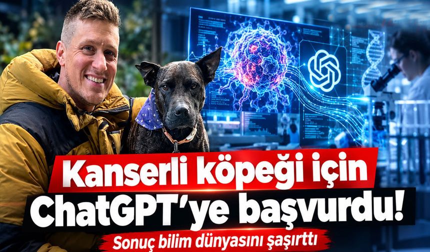 Köpeği için yapay zekaya başvurdu! Kanser aşısı tümörleri yüzde 75 küçülttü