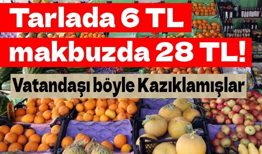 Tarlada 6 lira, makbuzda 28 lira: Fiyat oyununun belgesi savcılık dosyasından çıktı