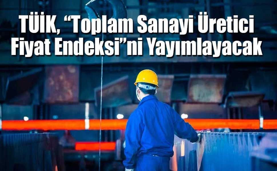 TÜİK, “Toplam Sanayi Üretici Fiyat Endeksi”ni Yayımlayacak
