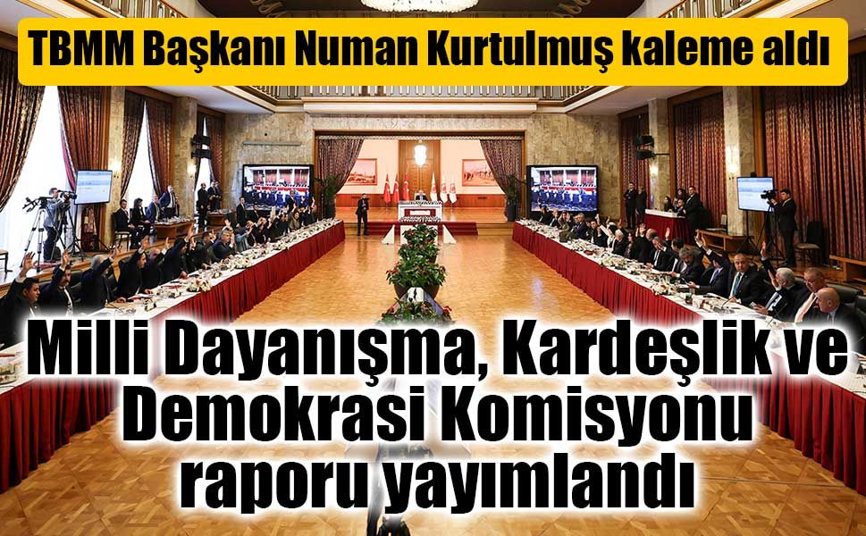 Milli Dayanışma Komisyonu Raporu Yayımlandı