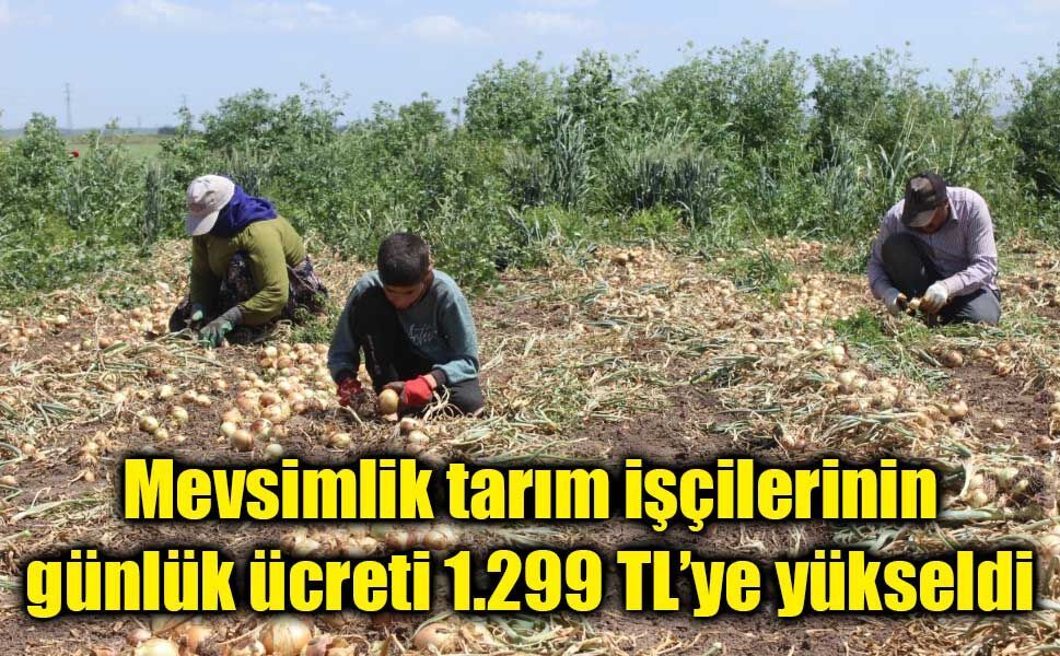 Mevsimlik tarım işçilerinin günlük ücreti 1.299 TL’ye yükseldi