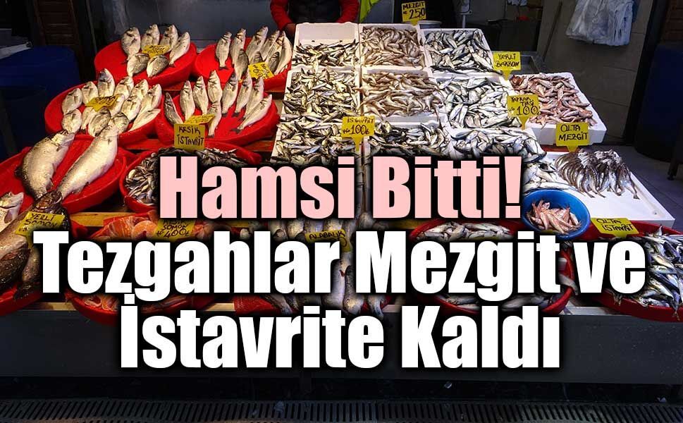 Hamsi Sezonu Sona Erdi: Tezgahlarda Yerini Mezgit ve İstavrit Alıyor