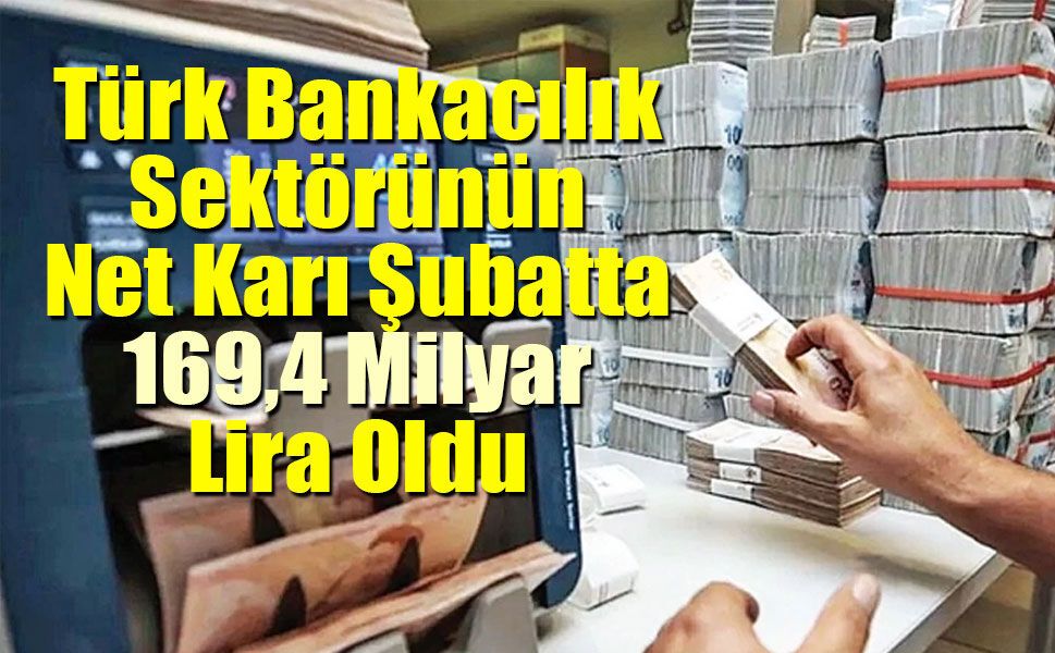 Türk Bankacılık Sektörünün Net Karı Şubatta 169,4 Milyar Lira Oldu