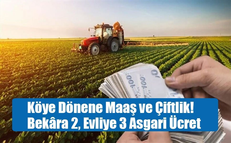 Köye Dönene Maaş ve Çiftlik!