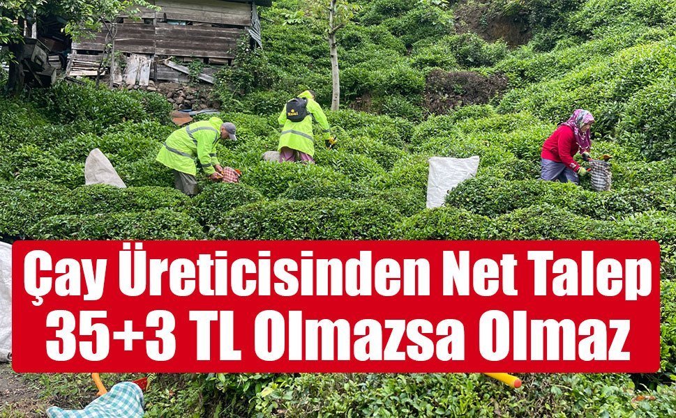 Yaş çay üreticisinden “35+3 TL” çağrısı: Maliyet baskısı artıyor