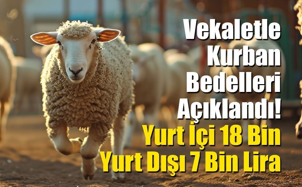 Vekaletle Kurban Bedelleri Açıklandı: Yurt İçi 18 Bin, Yurt Dışı 7 Bin Lira