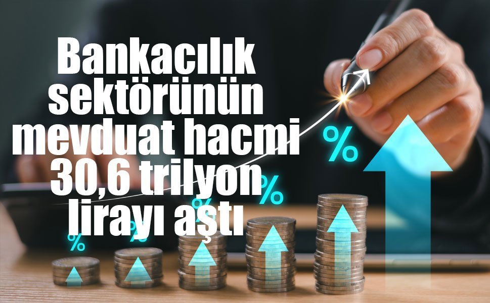 Bankacılık sektörünün mevduat hacmi 30,6 trilyon lirayı aştı