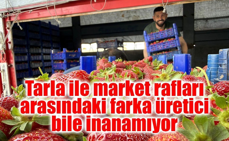 Tarla ile market rafları arasındaki farka üretici bile inanamıyor