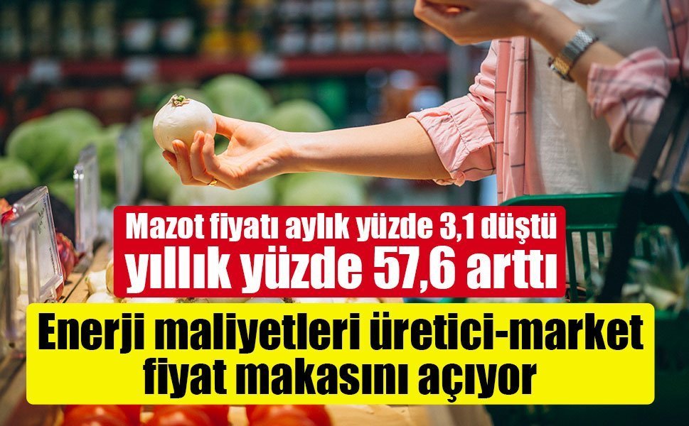 Enerji maliyetleri üretici-market fiyat makasını açıyor