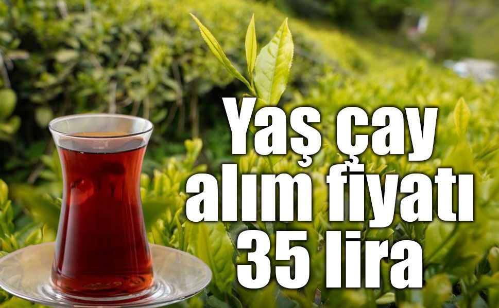 Yaş çay alım fiyatı 35 lira olarak belirlendi