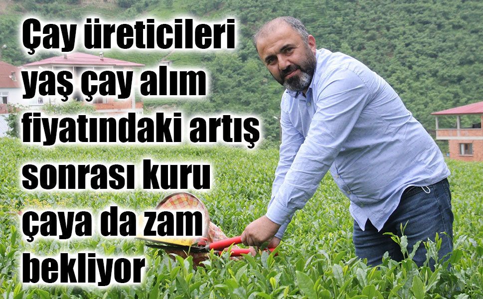 Yaş çaya yüzde 37’lik artış sonrası gözler kuru çay fiyatlarında