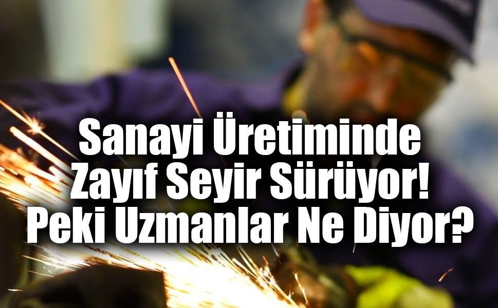 Sanayi Üretiminde Zayıf Seyir Sürüyor! Peki Uzmanlar Ne Diyor?