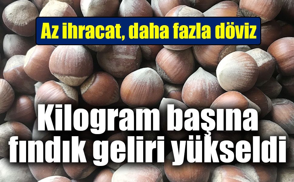 Fındıkta miktar düştü, gelir arttı: Kilogram başına ihracat değeri 13,9 dolara çıktı