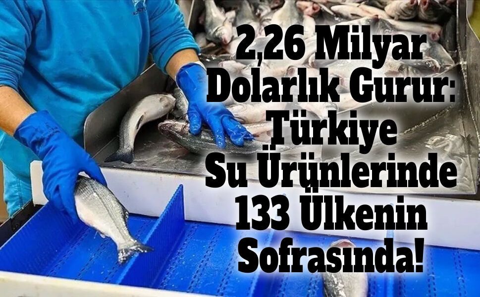 Türkiye Su Ürünleri İhracatında Dünya Rekoruna Koşuyor!