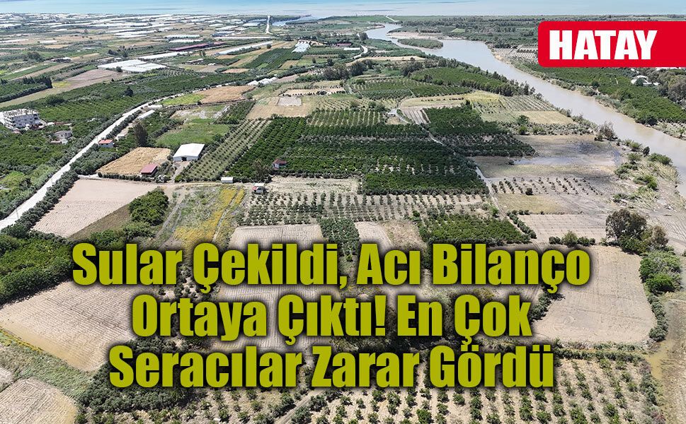 Hatay'da Taşan Asi Nehri Tarım Arazilerini Yuttu