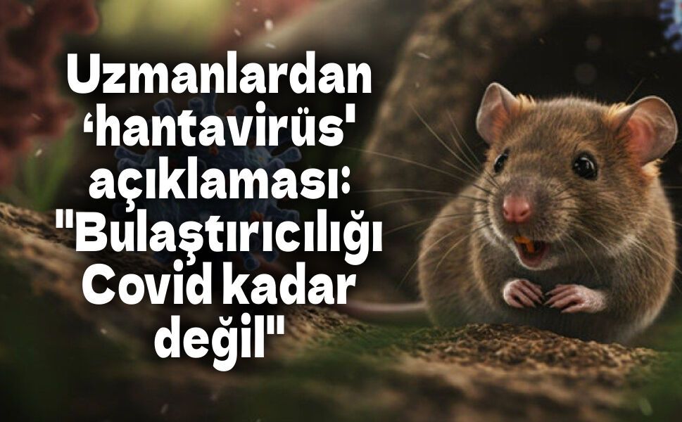 Uzmanlardan ‘hantavirüs' açıklaması: "Bulaştırıcılığı Covid kadar değil"
