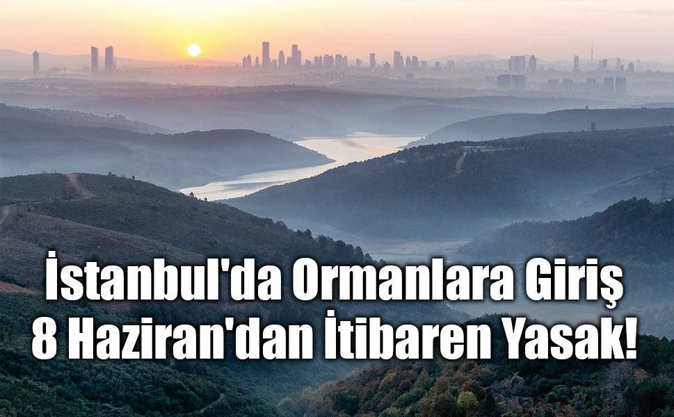 İstanbul'da Ormanlara Giriş 8 Haziran'dan İtibaren Yasaklandı