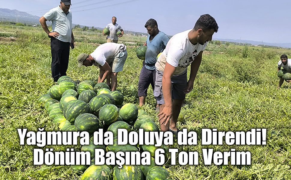 Karpuz bu sene hem üretici hem de tüketicinin yüzünü güldürecek!