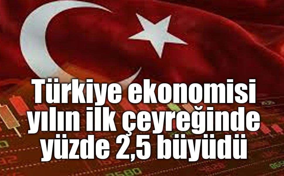 Türkiye ekonomisi birinci çeyrekte yüzde 2,5 büyüdü