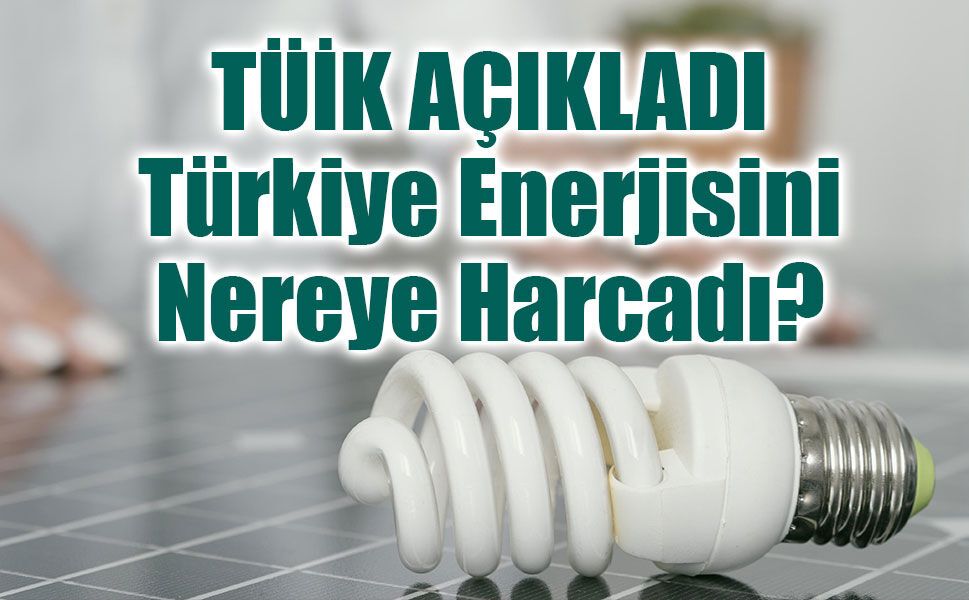 TÜİK Açıkladı: Türkiye 2024’te Enerjisini Nereye Harcadı?