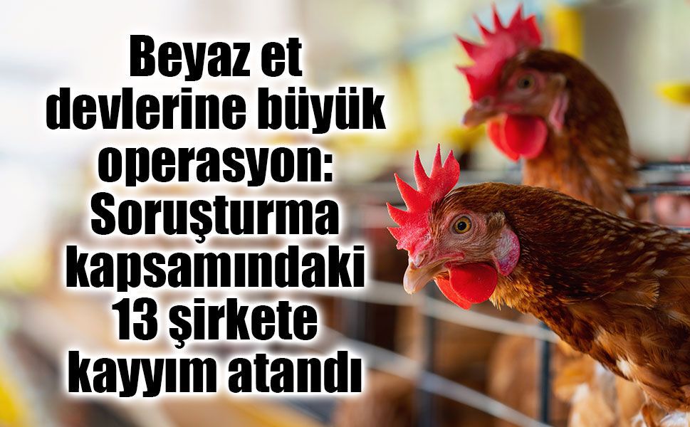 Tavuk Fiyatlarında Oyun Bozuldu! 8 İlde Dev Operasyon: 13 Şirkete Kayyım, 32 Gözaltı