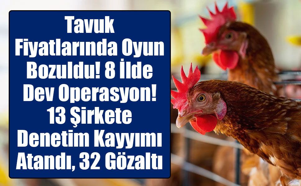 Tavuk Fiyatlarında Oyun Bozuldu! 8 İlde Dev Operasyon: 13 Şirkete Denetim Kayyımı Atandı, 32 Gözaltı