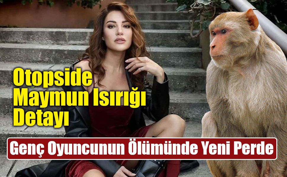 Ece İrtem'in Ölümünde Şok İddia: Tayland'daki Maymun Isırığı Araştırılıyor