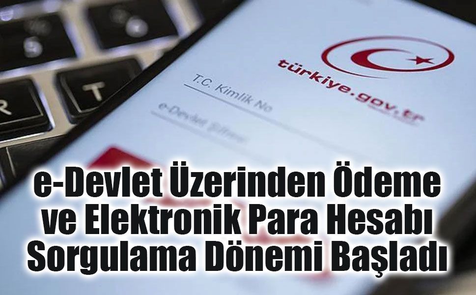 e-Devlet Üzerinden Ödeme ve Elektronik Para Hesabı Sorgulama Dönemi Başladı