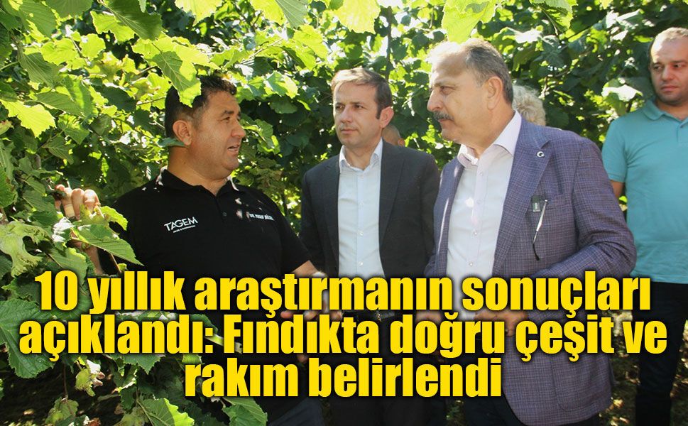 10 yıllık araştırmanın sonuçları açıklandı: Fındıkta doğru çeşit ve rakım belirlendi