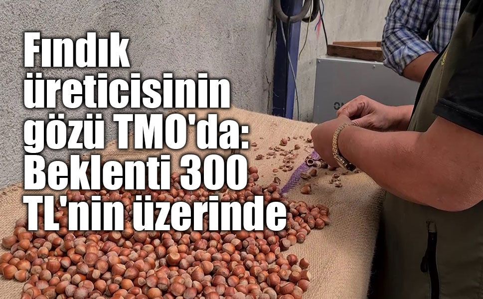 Fındık üreticisinin gözü TMO'da: Beklenti 300 TL'nin üzerinde