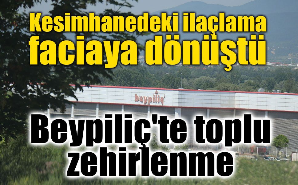 Bolu'da Beypiliç'te toplu zehirlenme! 34 işçi hastanelik oldu