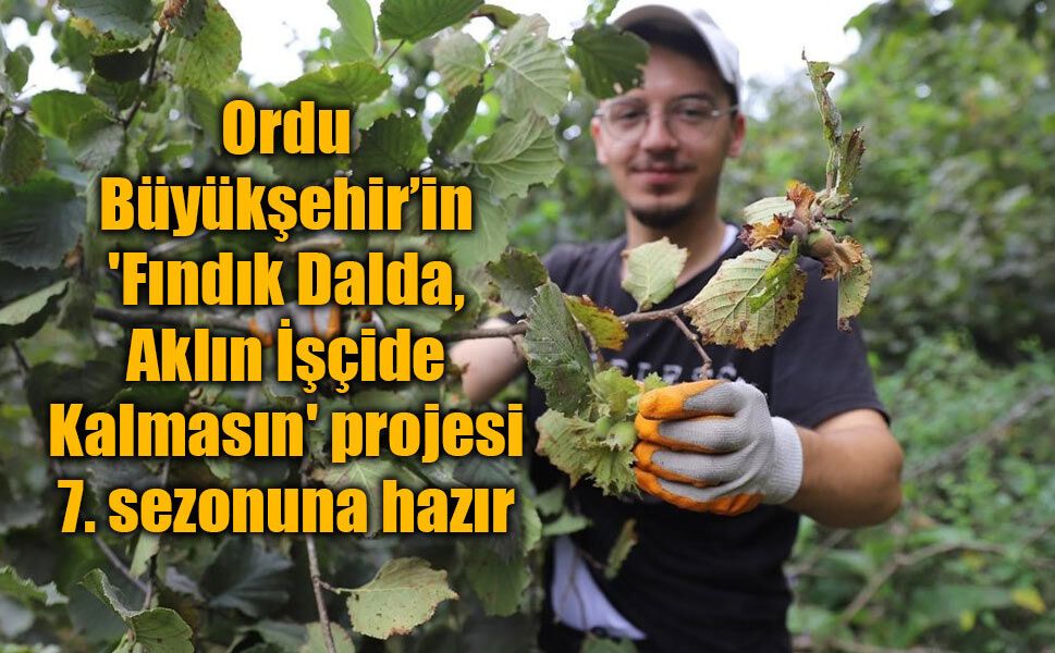 'Fındık Dalda, Aklın İşçide Kalmasın' projesi 7. sezonuna hazır