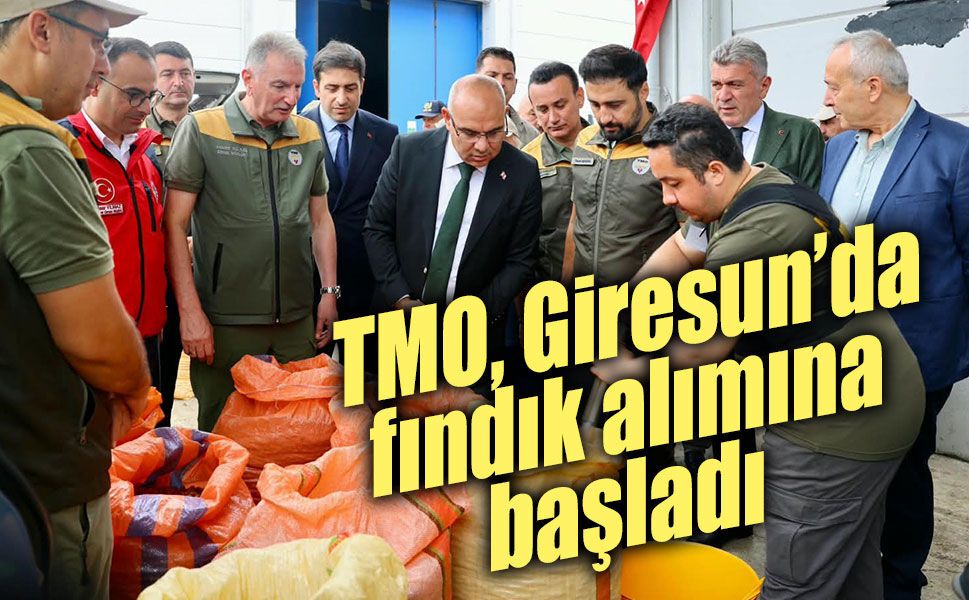 TMO, Giresun’da fındık alımına başladı