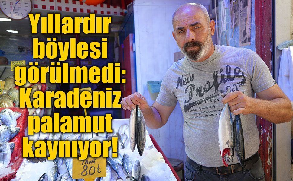Yıllardır böylesi görülmedi: Karadeniz'den palamut fışkırıyor
