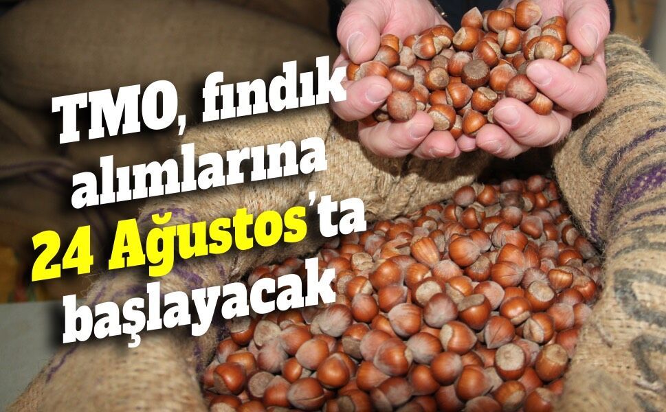 TMO, fındık alımlarına 24 Ağustos’ta başlayacak