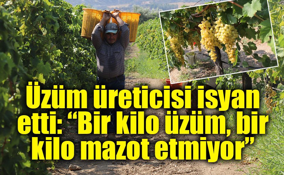 Üzüm üreticisi fiyatlara isyan etti: “Bir kilo üzüm, bir kilo mazot etmiyor”