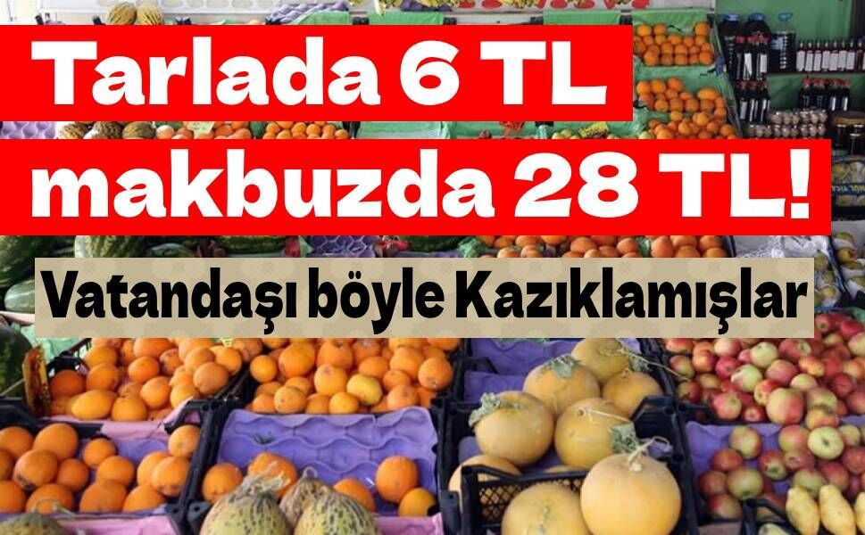 Tarlada 6 lira, makbuzda 28 lira: Fiyat oyununun belgesi savcılık dosyasından çıktı