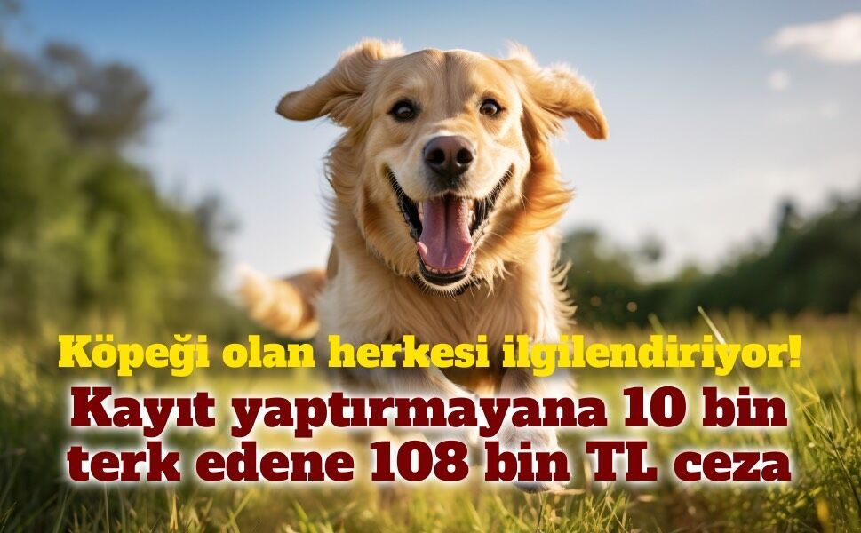 Köpek sahipleri dikkat! Kayıt yaptırmayana 10 bin, terk edene 108 bin TL ceza