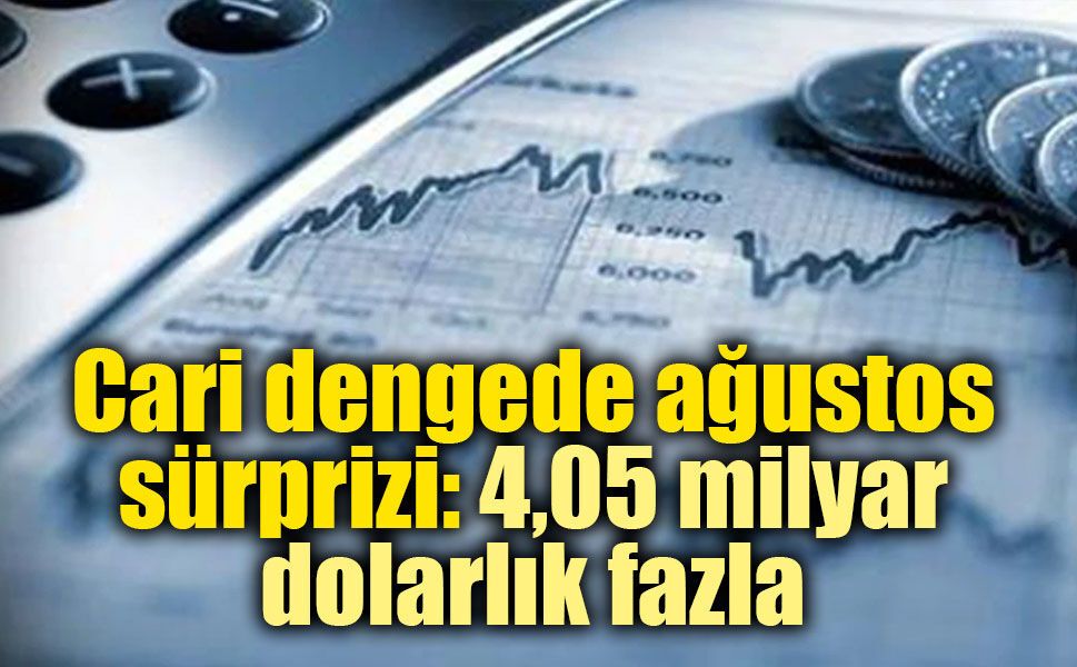 Türkiye’nin döviz bilançosunda ağustos tablosu belli oldu