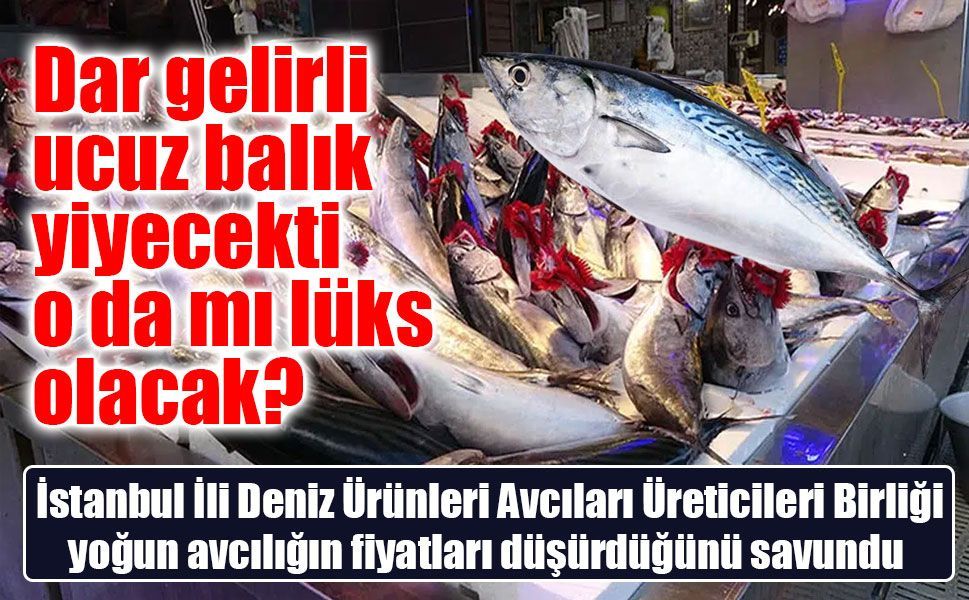 Palamut bolluğu ve ucuzluğu vatandaşa yaradı ama balıkçılar frene basmak istiyor!