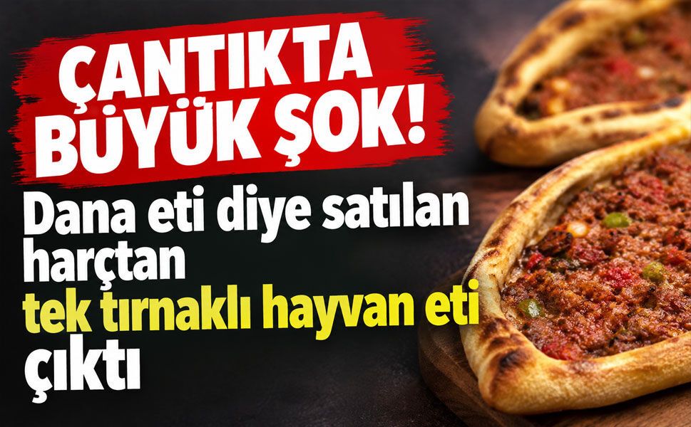 Bursa’da gıda skandalı! “Dana eti” denilen cantık harcında yasaklı et tespit edildi