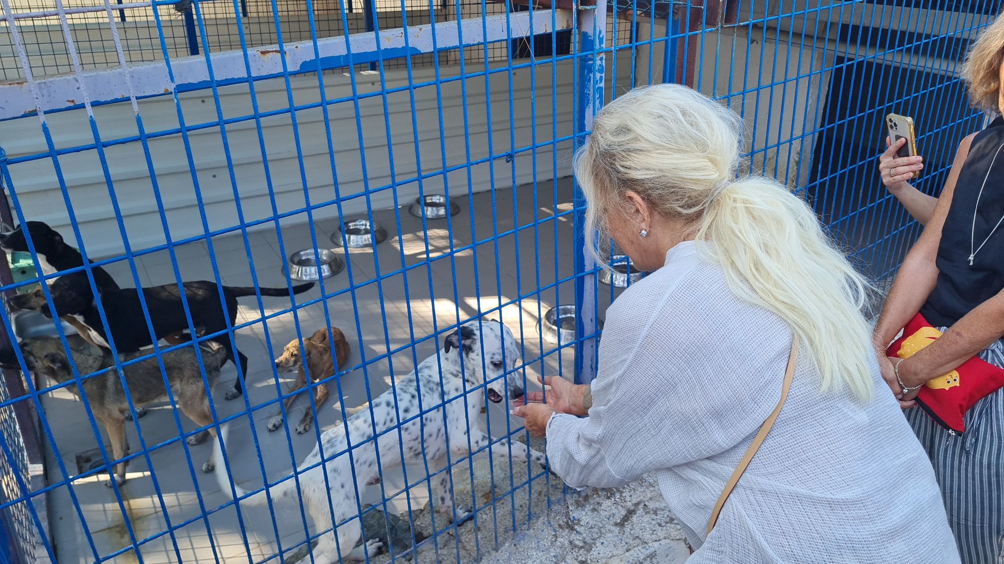 MUĞLA (İHA) - Süperstar Ajda Pekkan, Muğla’nın Bodrum ilçesinde sokak hayvanları geçici bakım merkezini ziyaret etti. Hayvanlarla yakından ilgilenen Pekkan, sokak hayvanlarını sahiplenme çağrısı yaptı.
