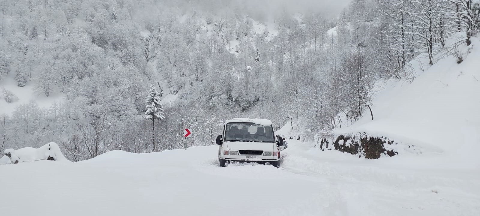 Gürcistan sınırında bulunan UNESCO’nun koruması altındaki Türkiye’nin ilk ve tek biyosfer rezerv alanı olan bin 900 rakımlı Camili bölgesinde yoğun kar yağışı nedeni ile yol açma çalışmaları sürüyor.
